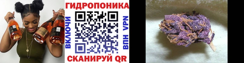 Где продают наркотики Новохопёрск COCAIN  Конопля  Мефедрон  ГАШИШ 