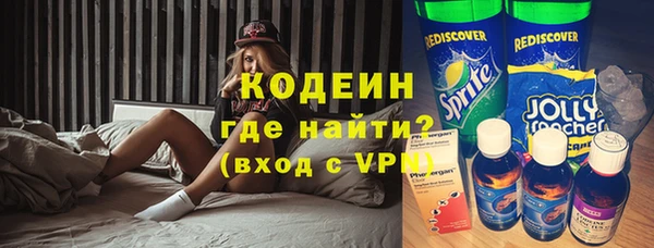 спиды Бородино