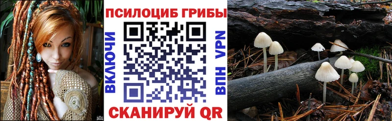 Галлюциногенные грибы GOLDEN TEACHER  блэк спрут ССЫЛКА  даркнет формула  Новохопёрск 